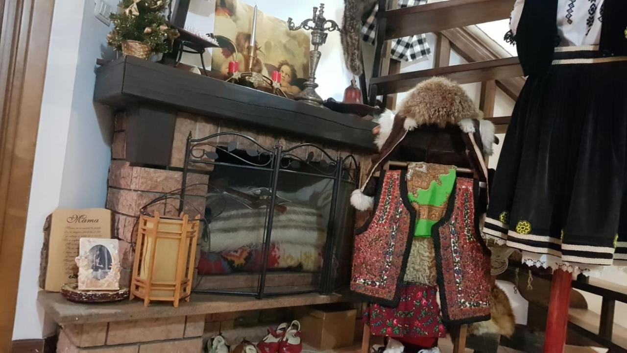 Cabana Rustic Borşa Extérieur photo
