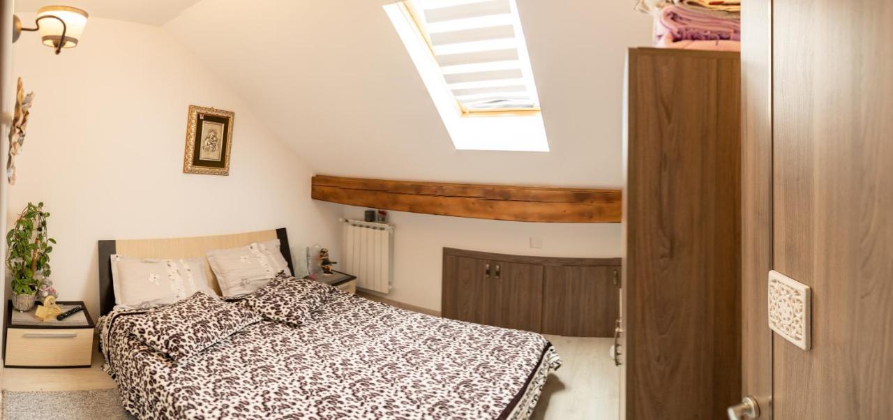 Cabana Rustic Borşa Extérieur photo