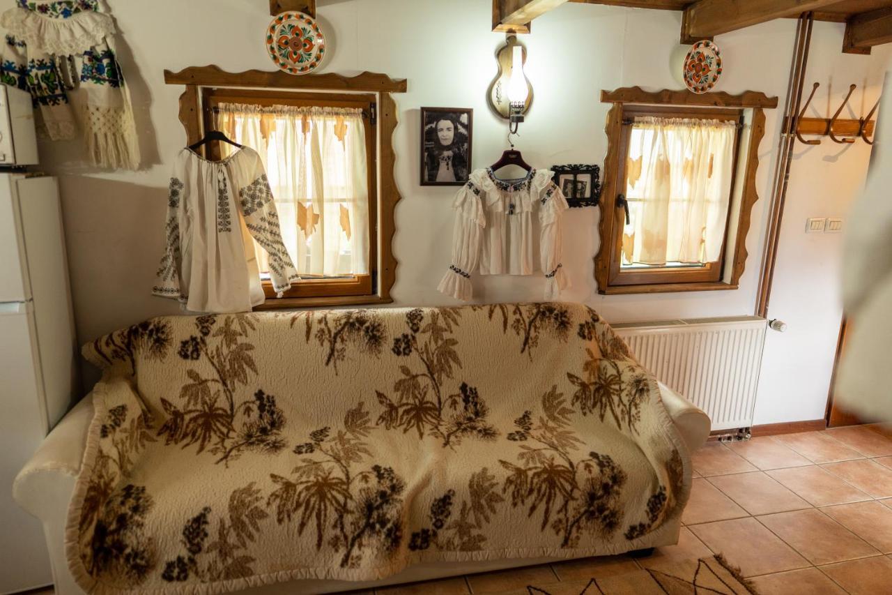 Cabana Rustic Borşa Extérieur photo