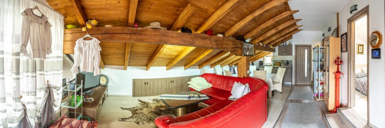 Cabana Rustic Borşa Extérieur photo
