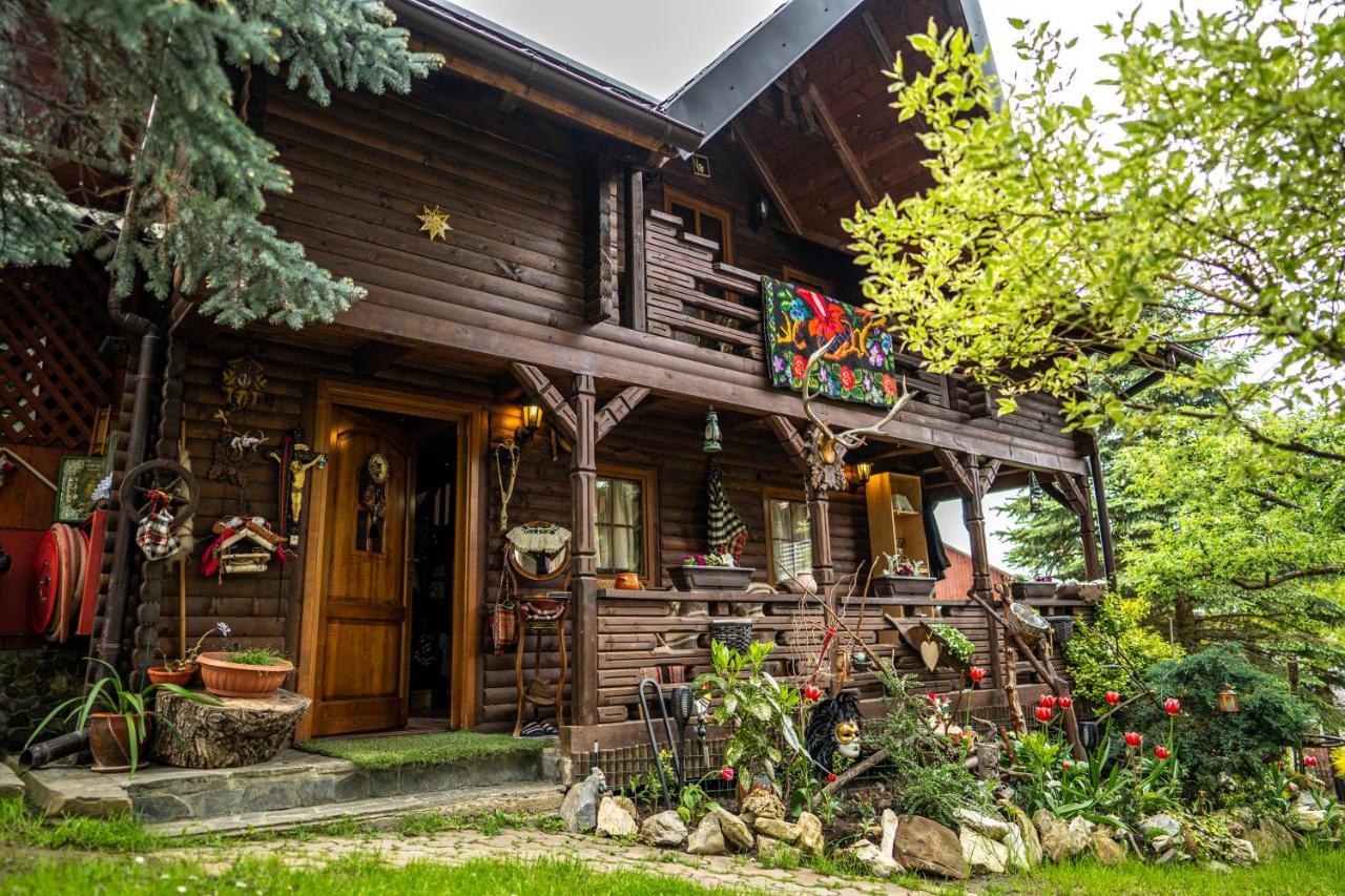 Cabana Rustic Borşa Extérieur photo