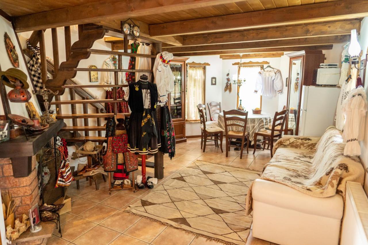 Cabana Rustic Borşa Extérieur photo