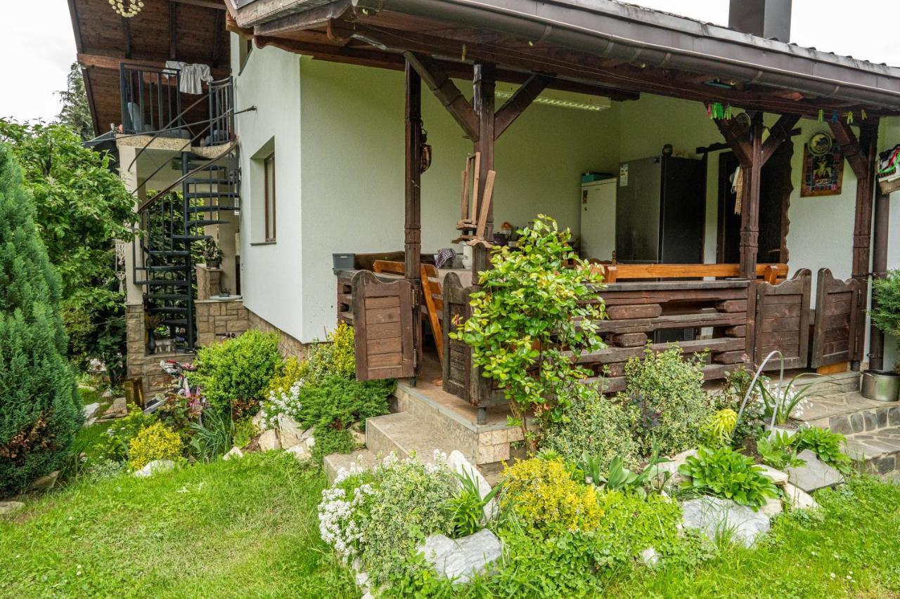 Cabana Rustic Borşa Extérieur photo
