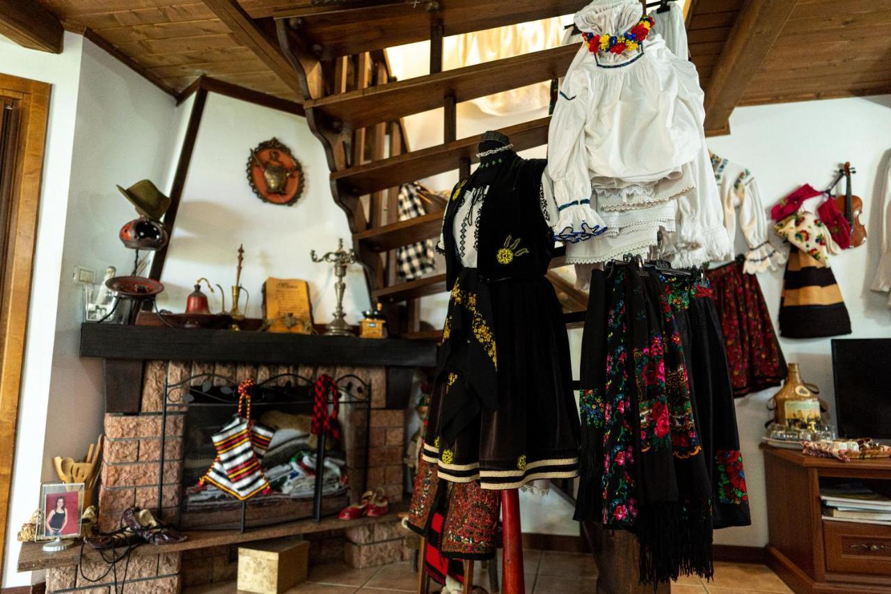 Cabana Rustic Borşa Extérieur photo