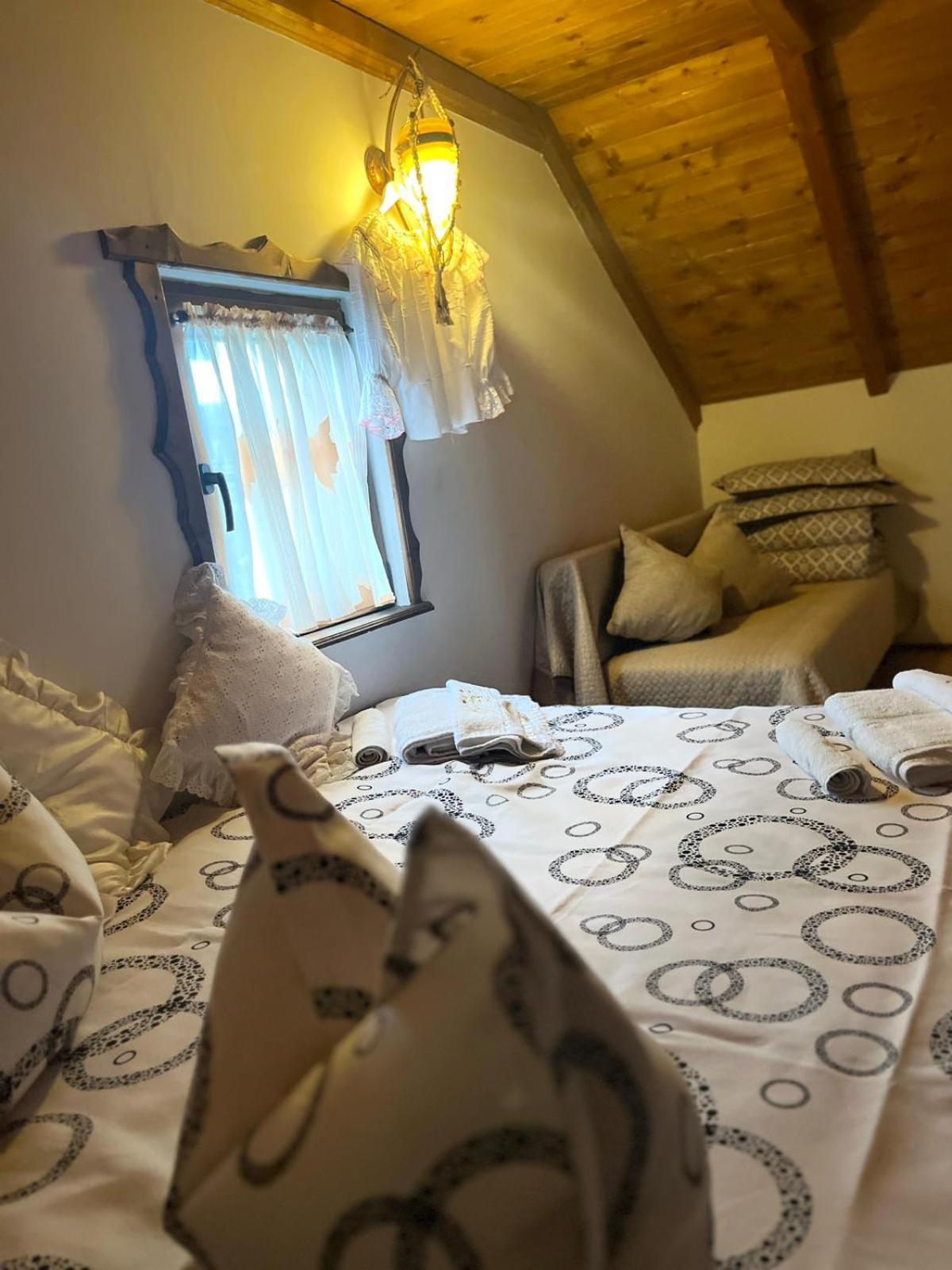 Cabana Rustic Borşa Extérieur photo