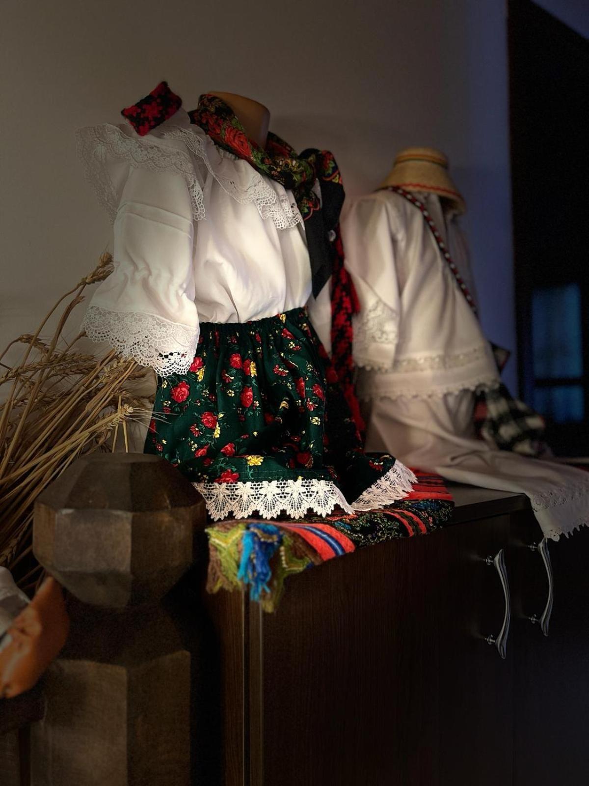 Cabana Rustic Borşa Chambre photo