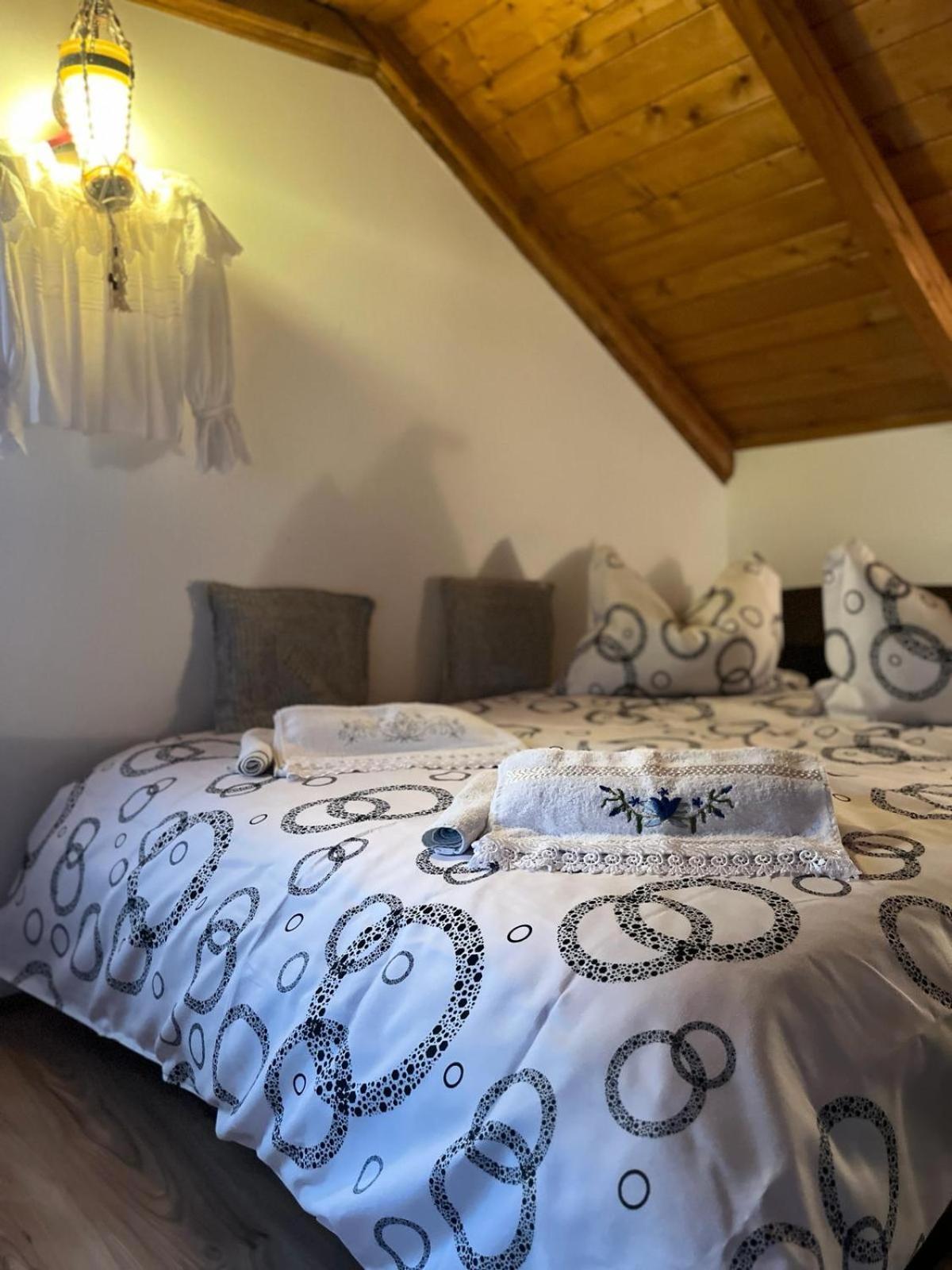 Cabana Rustic Borşa Chambre photo