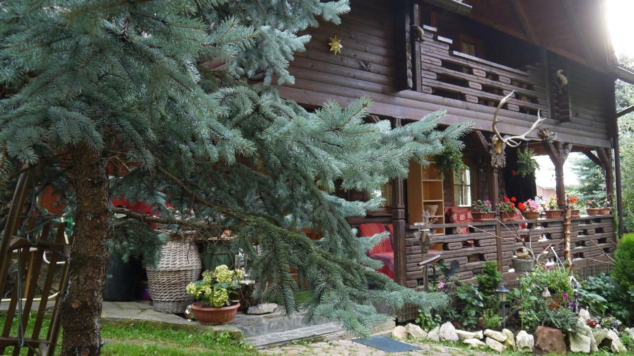 Cabana Rustic Borşa Extérieur photo