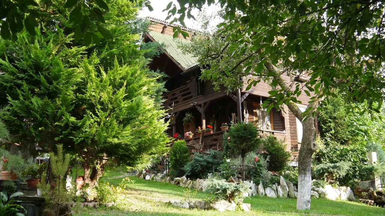 Cabana Rustic Borşa Extérieur photo