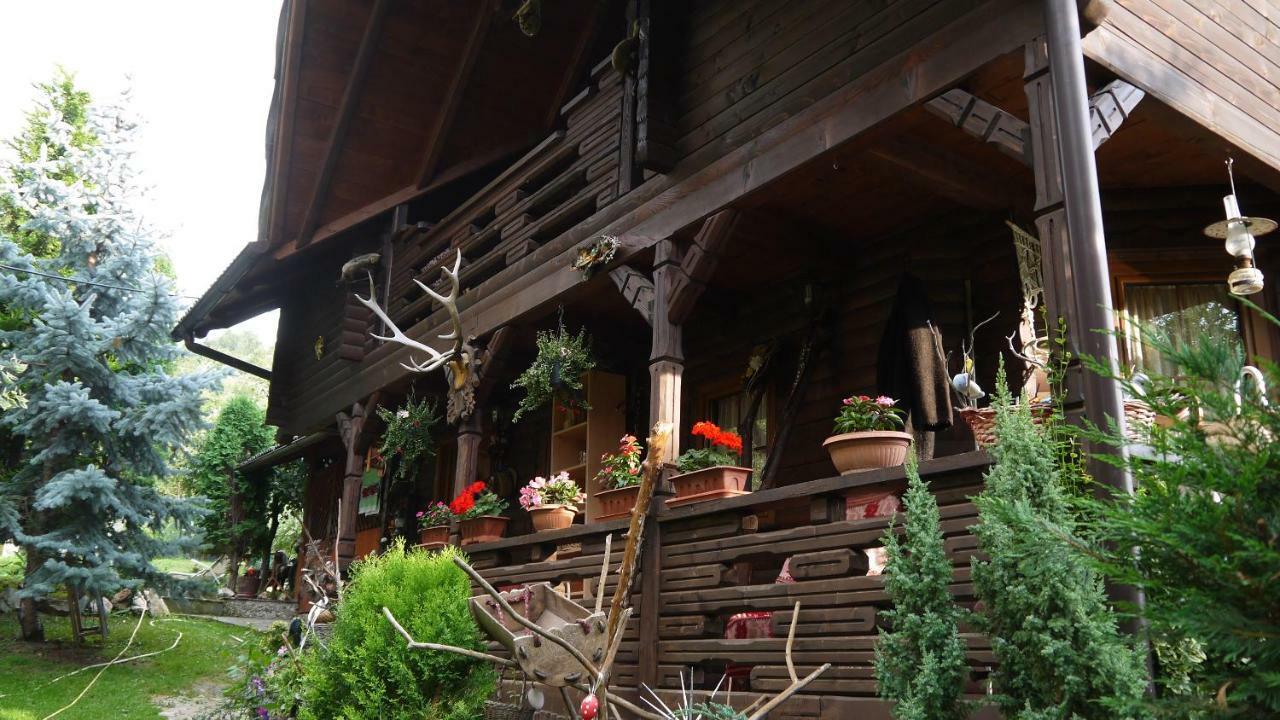 Cabana Rustic Borşa Extérieur photo