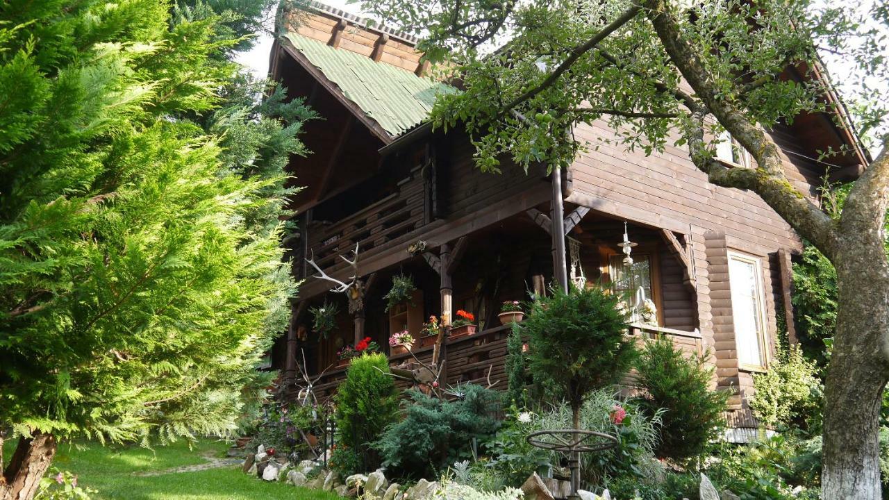 Cabana Rustic Borşa Extérieur photo
