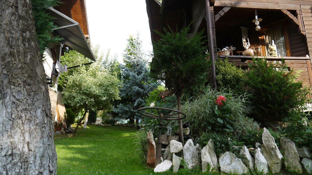 Cabana Rustic Borşa Extérieur photo