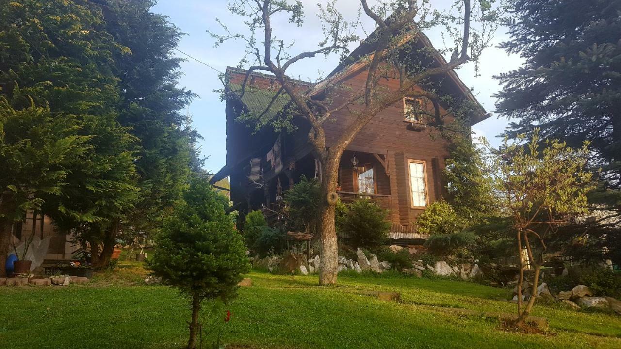 Cabana Rustic Borşa Extérieur photo