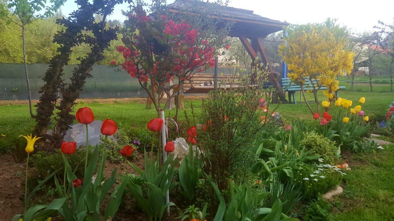 Cabana Rustic Borşa Extérieur photo