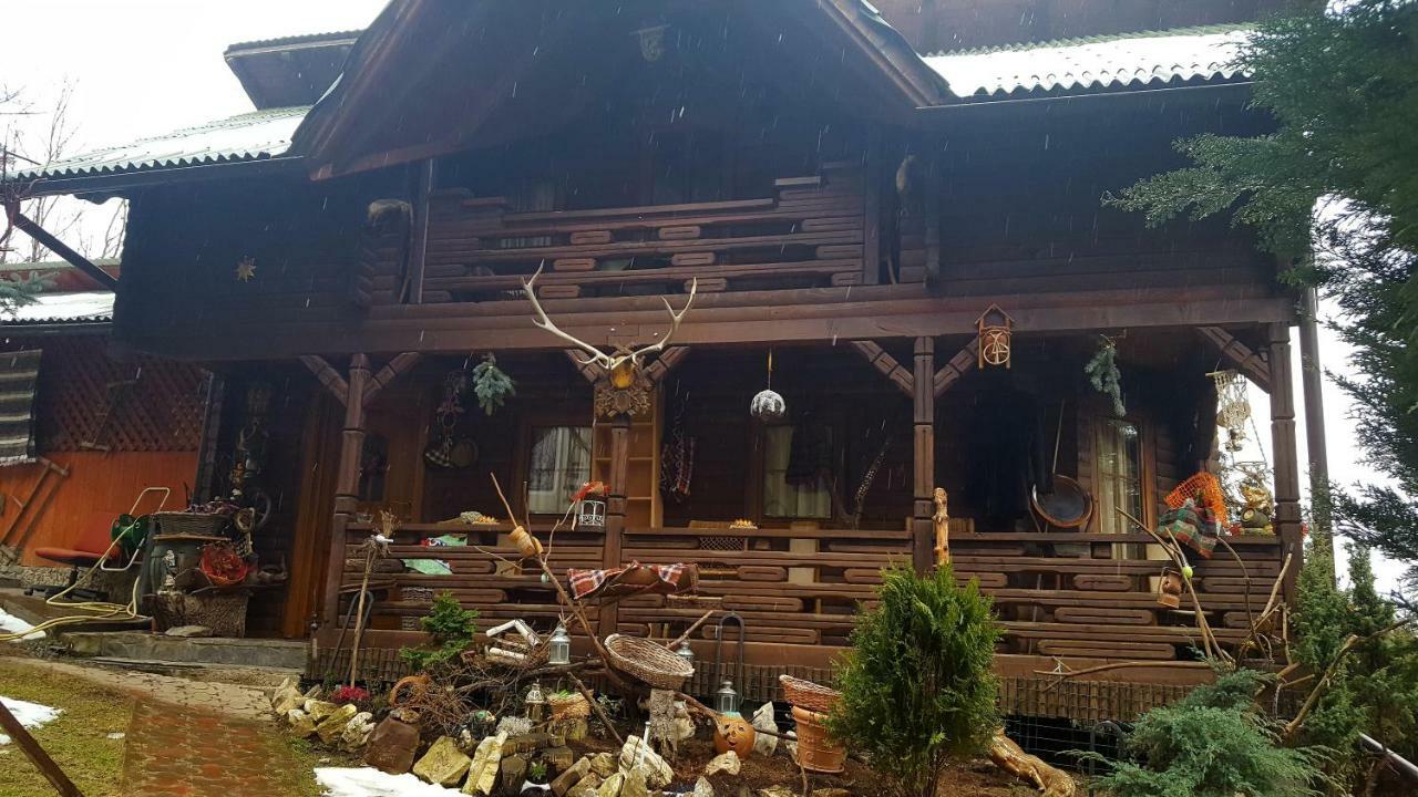 Cabana Rustic Borşa Extérieur photo